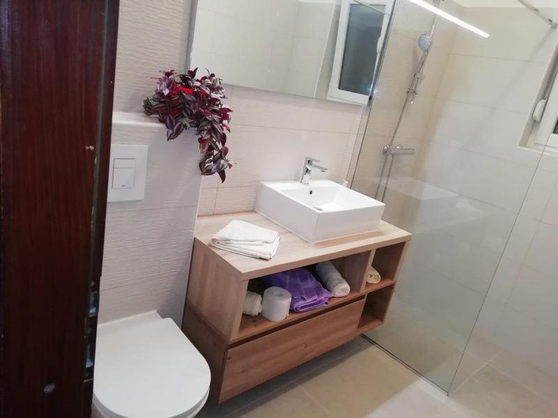 Apartman Ana Novi Vinodolski Εξωτερικό φωτογραφία